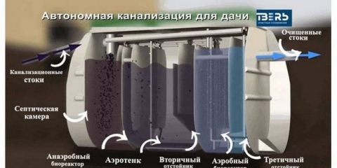 Септична ther